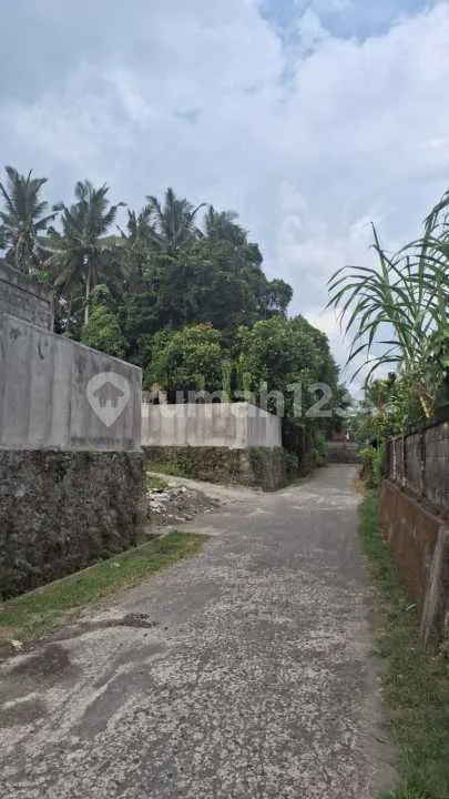 Tanahpejeng Kelod Tukad Pakerisan Ubud - Image 3 of 4
