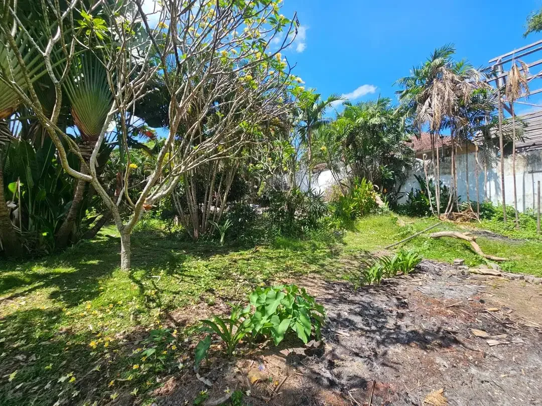 disewakan tanah premium canggu - Image 6 of 9