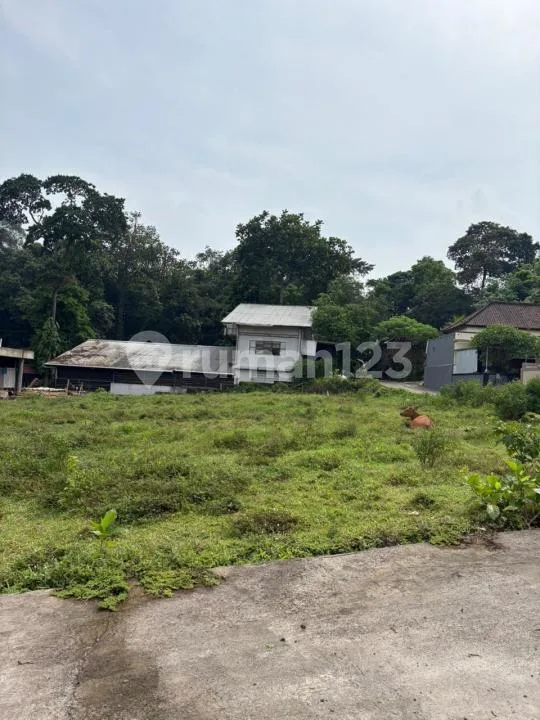 Tanah Jual di Jl Pantai Kedunggu Hadap Timur dan Selatan, Tabanan - Image 3 of 4