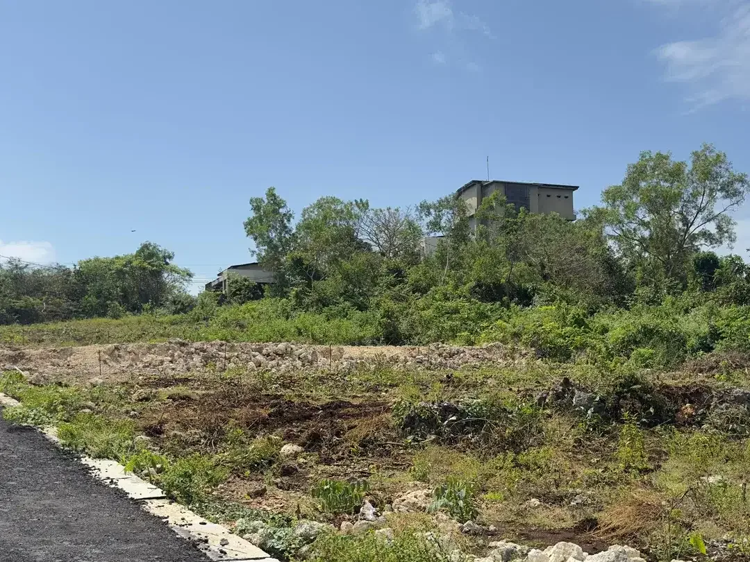 Dijual Tanah 250m2 Jungle View Zona Pariwisata Nusa Dua Bali - Image 7 of 10