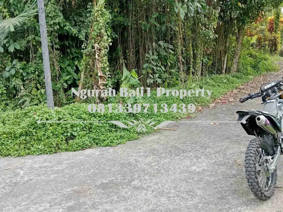 Dijual Tanah Murah Luas 250 m2 Kawasan Villa di Ubud Pejeng - Image 4 of 6