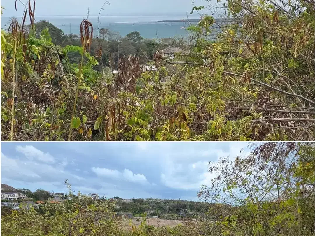 Tanah Zona Pink View Laut Kontur Tebing di Jimbaran - Image 7 of 10