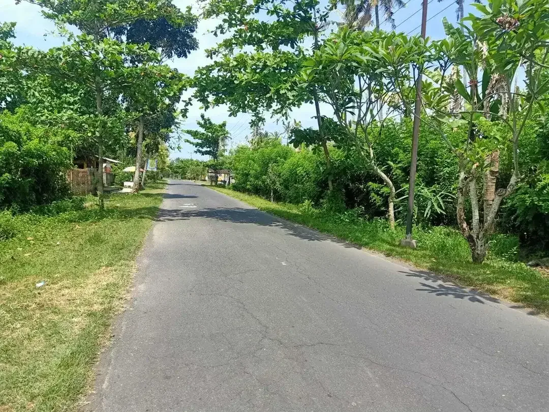 Beach front land di Perancak 30 menit ke pantai Medewi Bali - Image 8 of 8