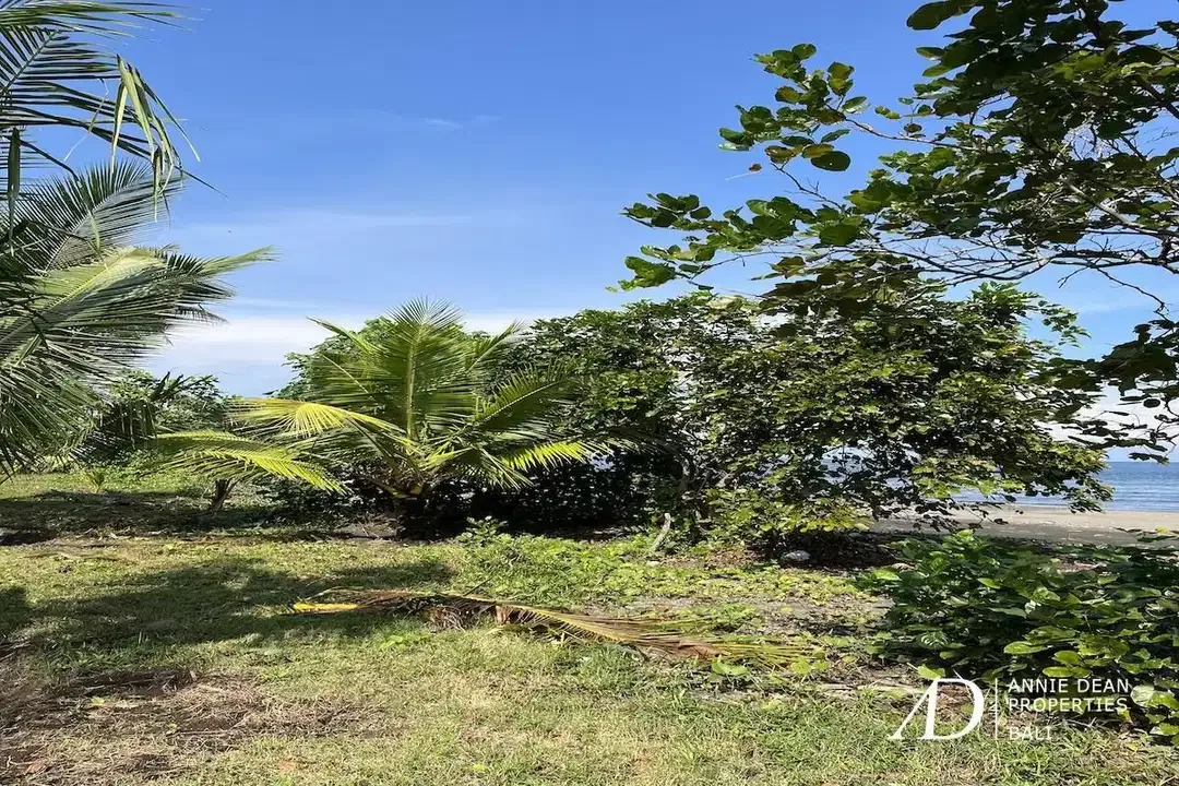 FREEHOLD LAND FOR SALE IN PANTAI MELAYA, JEMBRANA (257 ARE) - Image 5 of 9