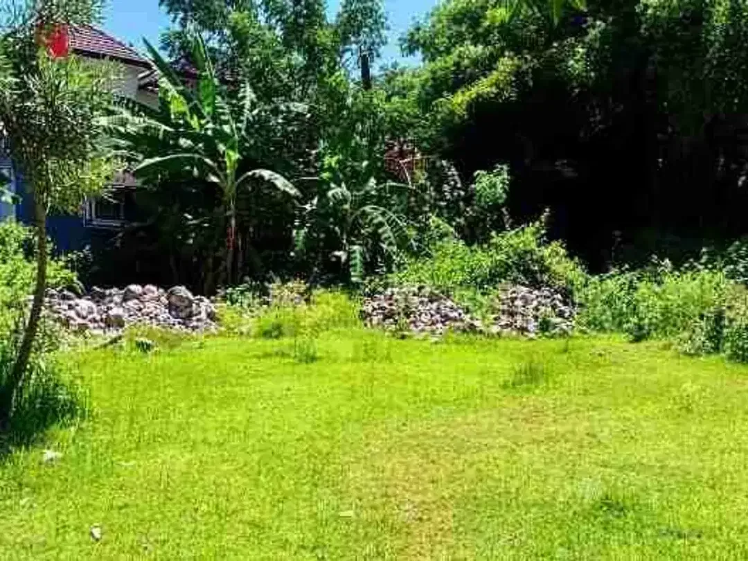 Dijual tanah lalu jln mundeh kutuh - Bali - Image 3 of 6