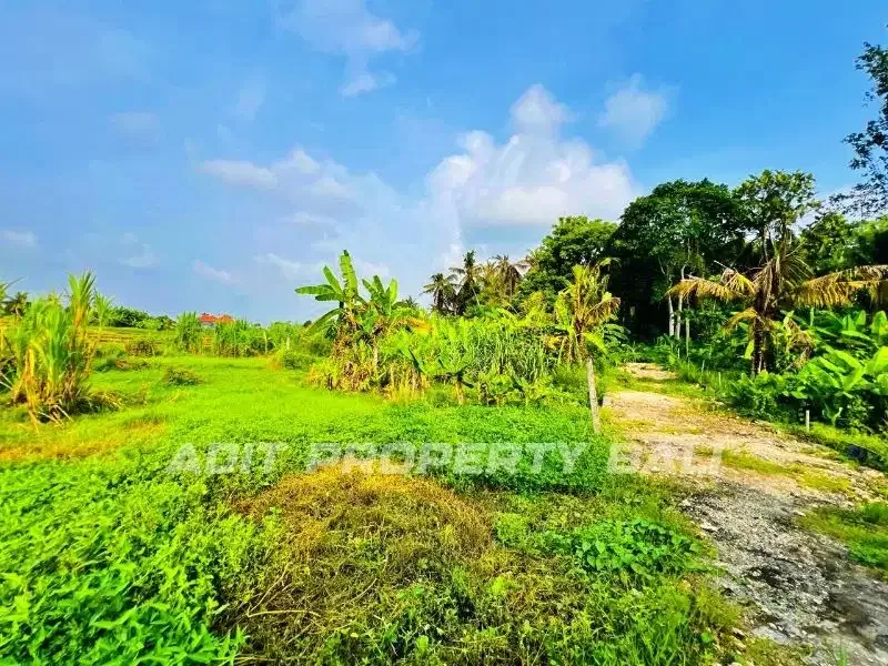 Tanah View Sawah Pantai Nyanyi Kediri Tabanan - Image 9 of 10