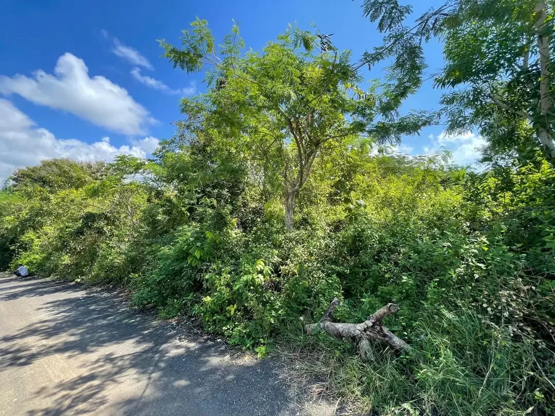 Di Jual Tanah Luas 200 Are Di Jl. Gayang Sari ,Kutuh, Kuta Selatan - Image 7 of 10