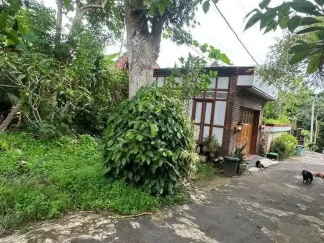 DIJUAL TANAH BELIMBING SARI PECATU BADUNG - Image 2 of 5