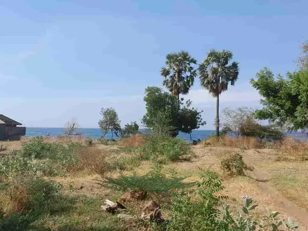 Jual tanah harga miring langsung pantai Singaraja - Image 3 of 9