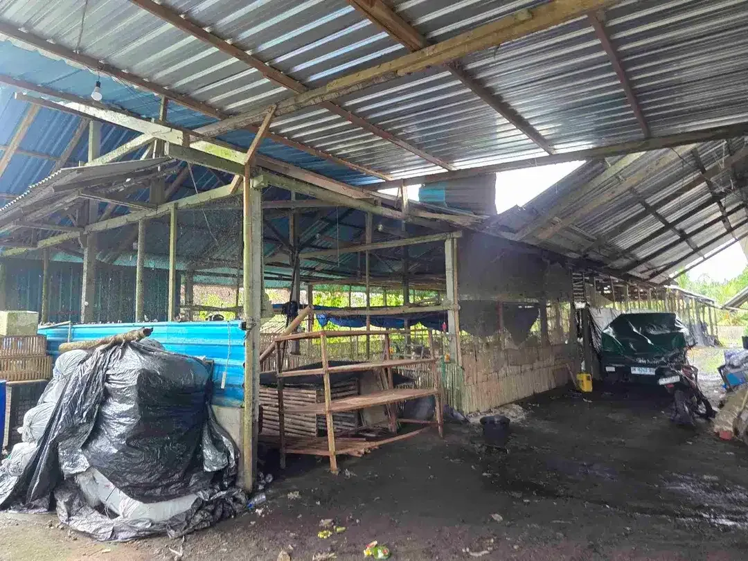Dijual tanah view exotik sawah dan gunung di tabanan bali - Image 9 of 10