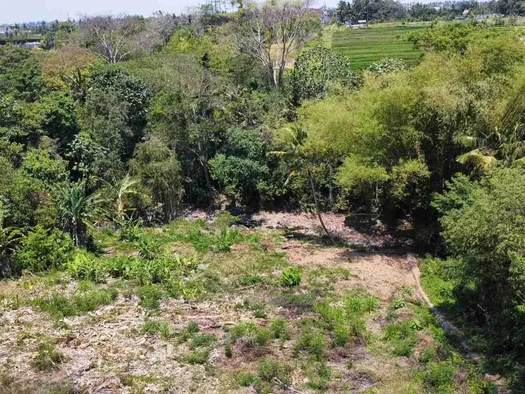 Tanah Los Sungai jalan Pantai Nyanyi Boleh Beli 1.036 m² - Image 10 of 10