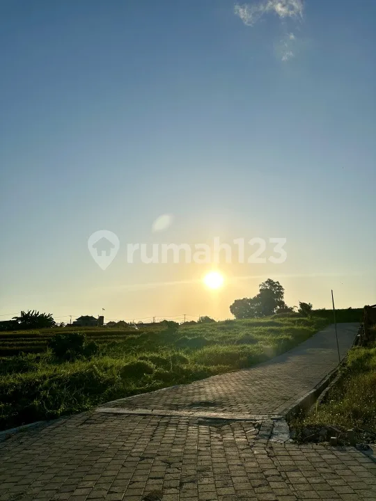 Tanah Dekat Canggu Kedungu Full View Surga - Image 3 of 4