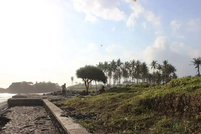 JUAL TANAH LUAS LOS PANTAI BERABAN TABANAN BALI - Image 7 of 10