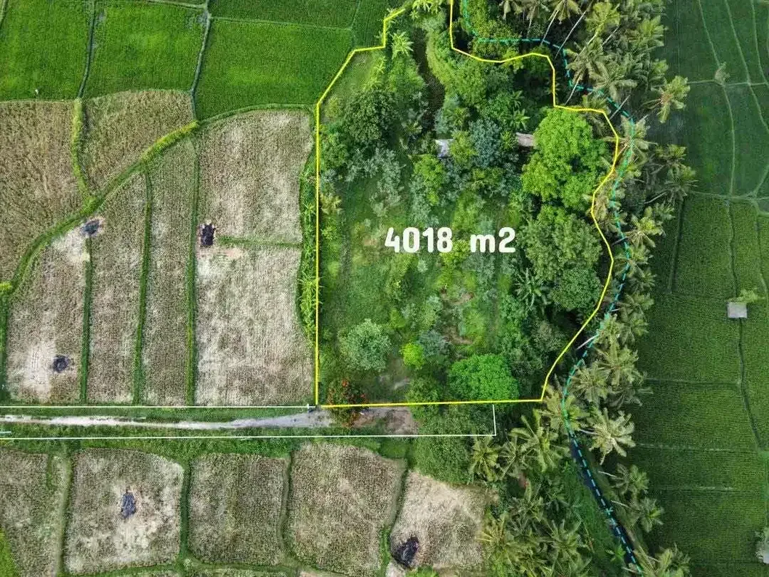 TANAH VIEW SAWAH DAN SUNGAI LOKASI LOT TUNDUH UBUD - Image 2 of 10
