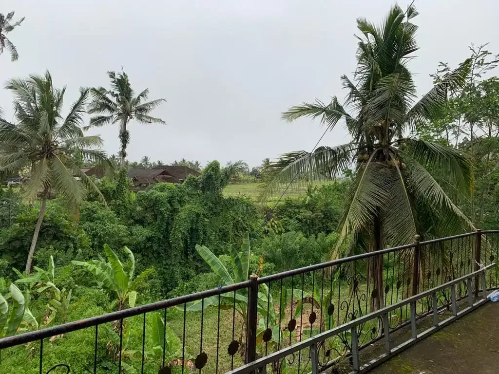 TANAH VIEW SAWAH DAN SUNGAI JALAN UTAMA UBUD - Image 1 of 5
