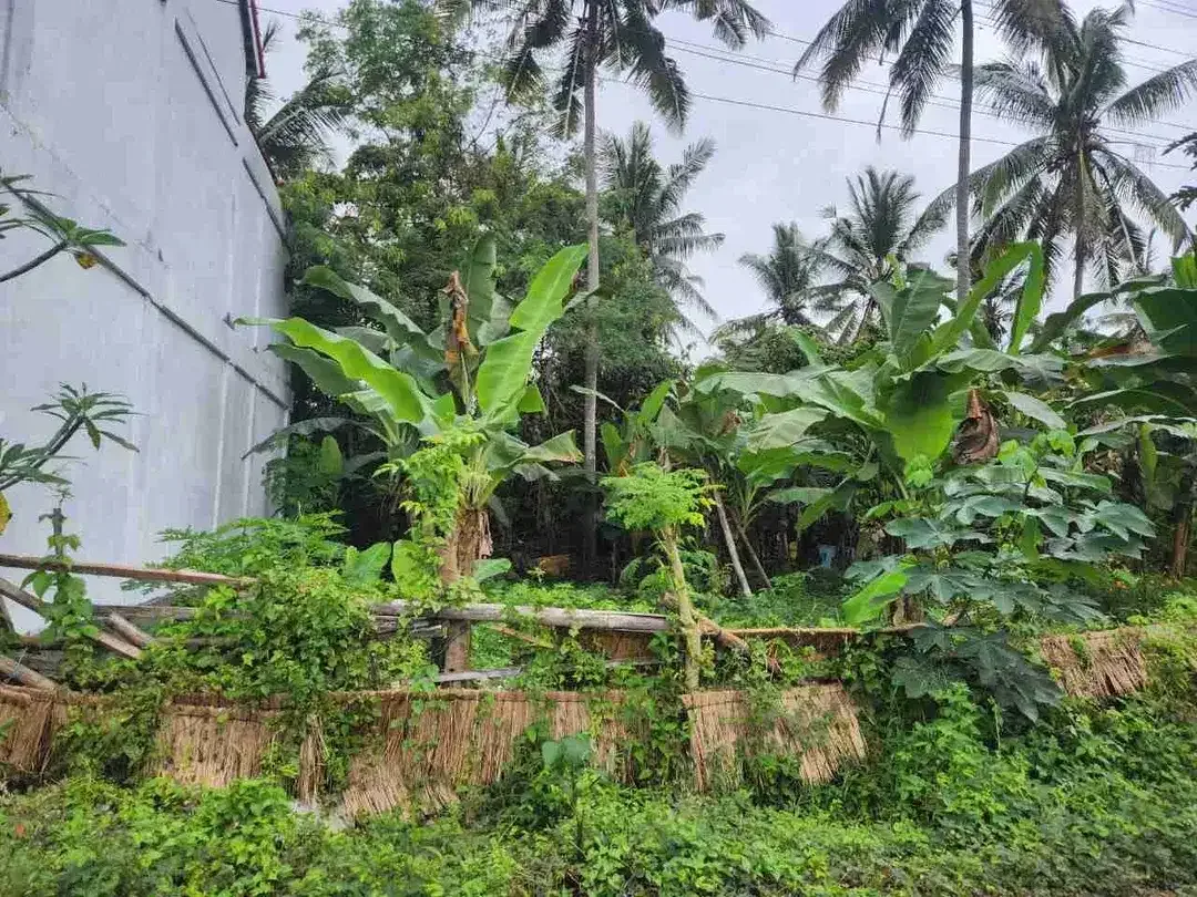 Tanah Lingkungan Villa Ubud Harga Menarik - Image 2 of 10