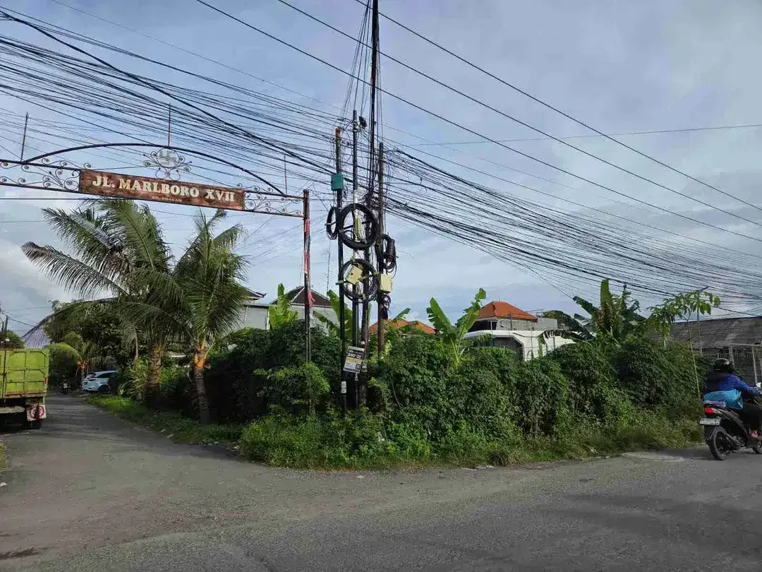 Tanah - Image 3 of 10