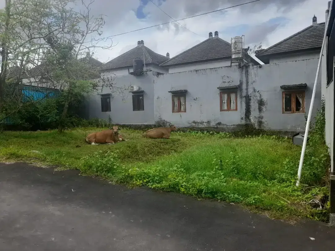 TANAH KOSONG DI SEMPIDI MENGWI DEKAT TAMAN PUSPEM BADUNG - Image 3 of 6
