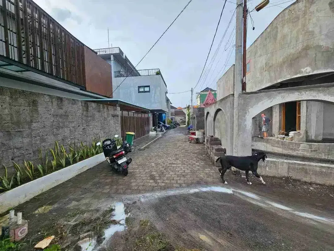 DIJUAL TANAH CANGGU BRAWA - Image 5 of 7