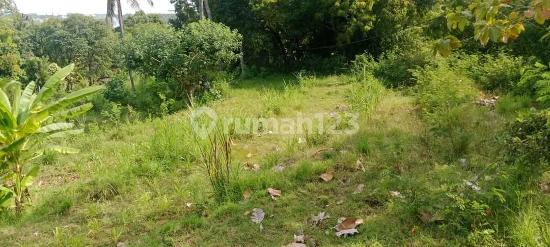 For Sale 20 Are Land With Beautiful View To The Ocean - Image 2 of 4