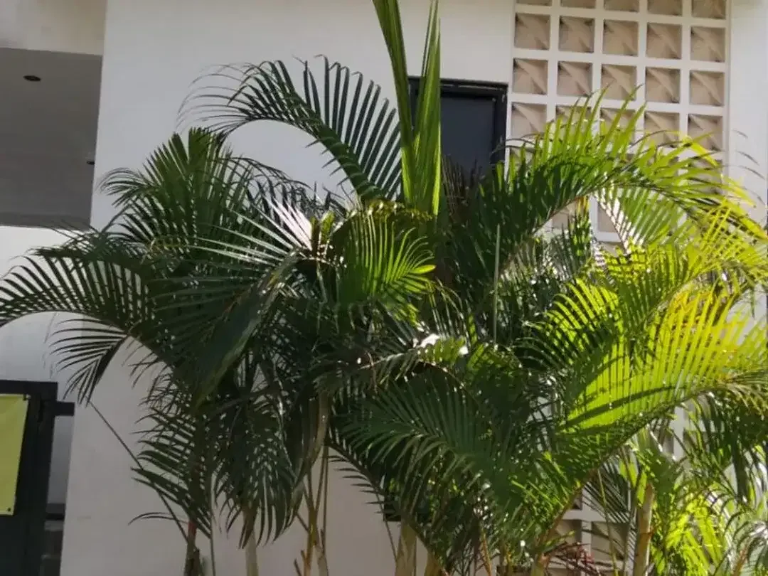 JUAL TANAH BONUS VILLA TAMAN MUMBUL - Image 4 of 6