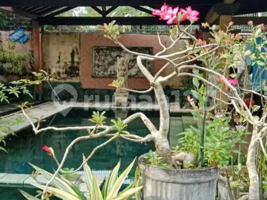 Rumah Teduh 3 Kamar Tidur Free Listrik Selama Masa Sewa - Image 2 of 5