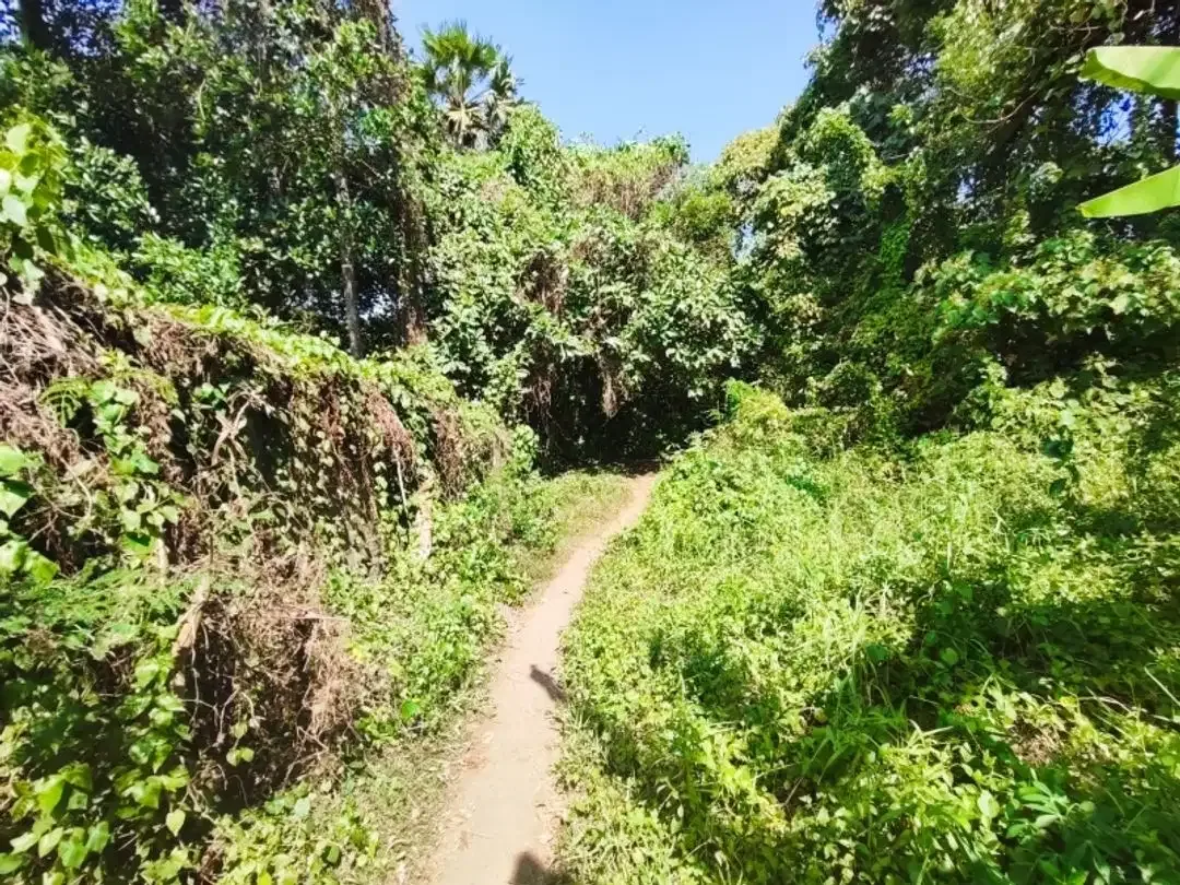 Tanah Dijual Cepat Dekat Pantai Yeh Gangga - Image 7 of 10