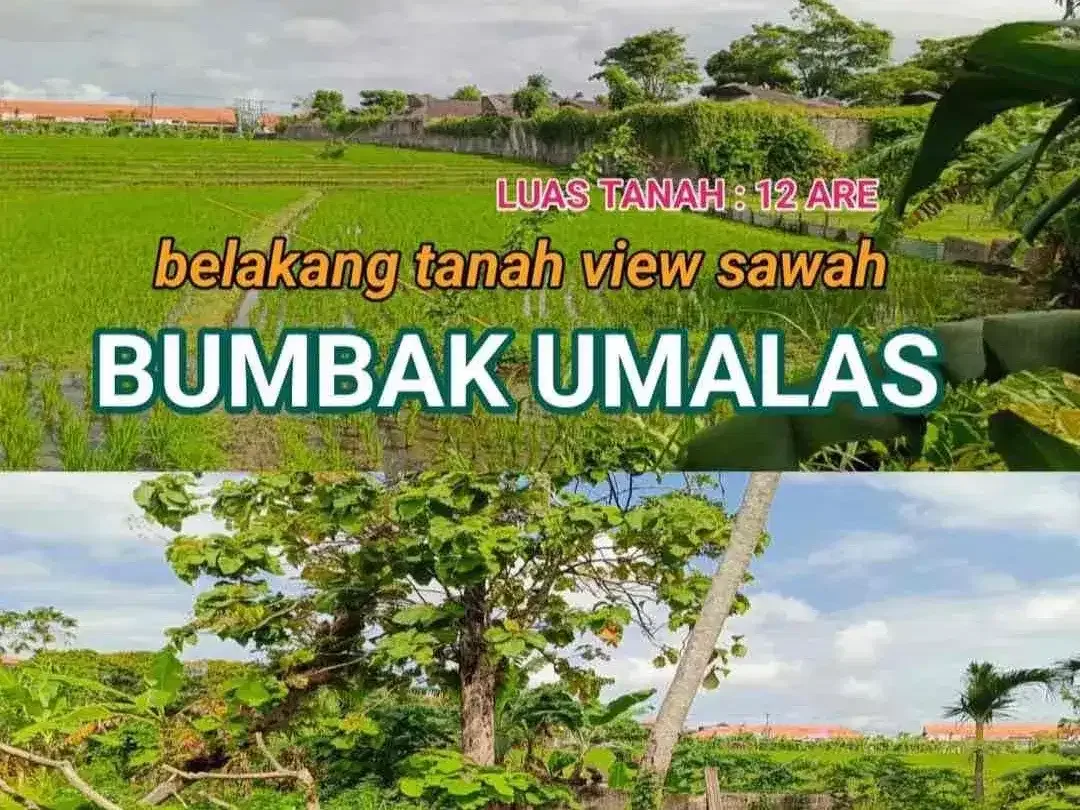 Tanah Premium Bumbak Umalas Kerobokan - Image 3 of 10
