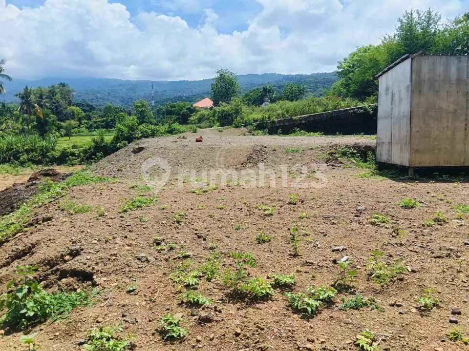 For Sale Premium Land 3 Minute Drive To Central Lovina Good For Villa - Image 2 of 4