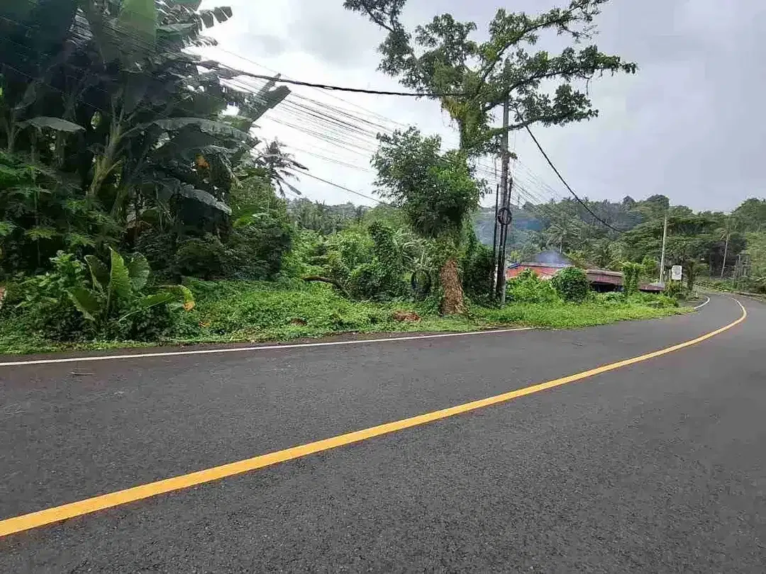 Tanah di Jalan Utama Denpasar Gilimanuk dekat Exit Toll Antosari - Image 1 of 3