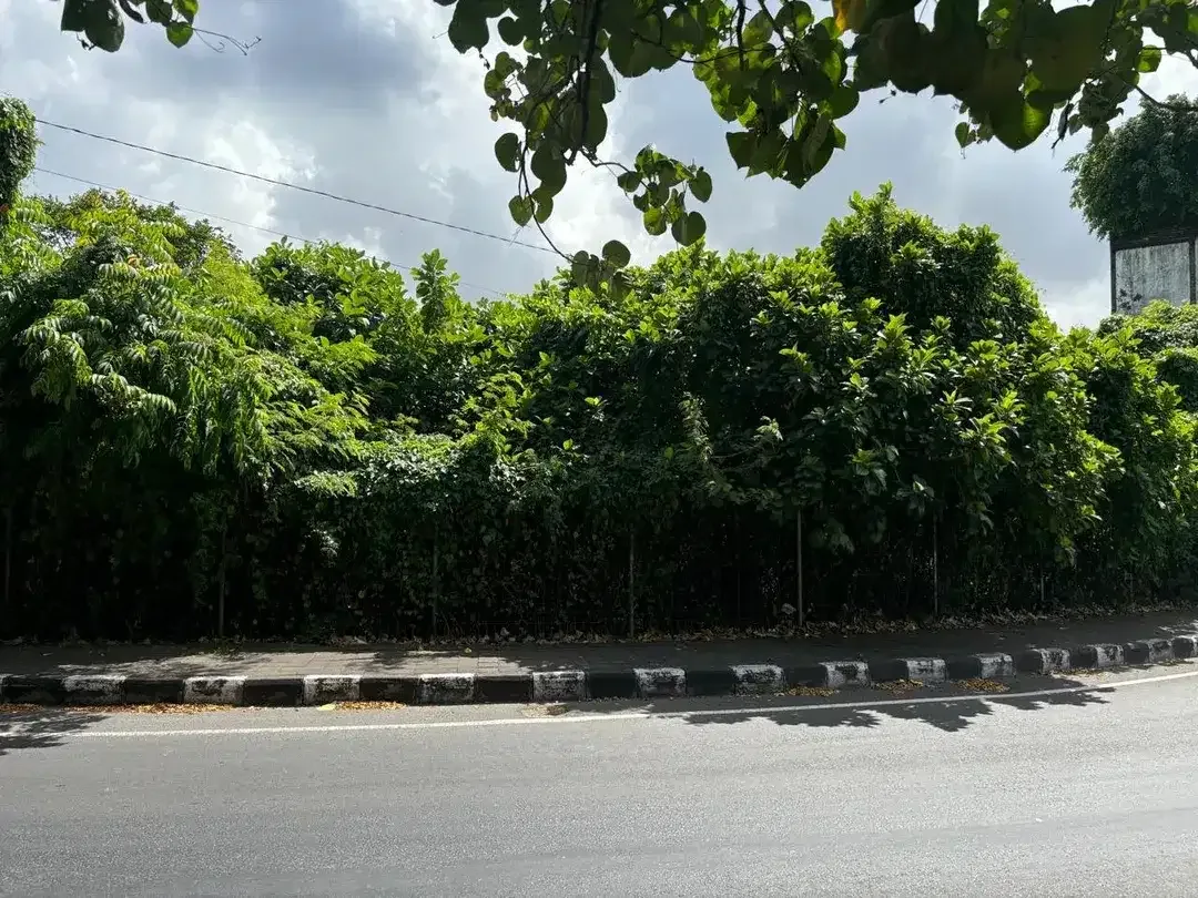 Tanah sunset road kuta - Image 5 of 10