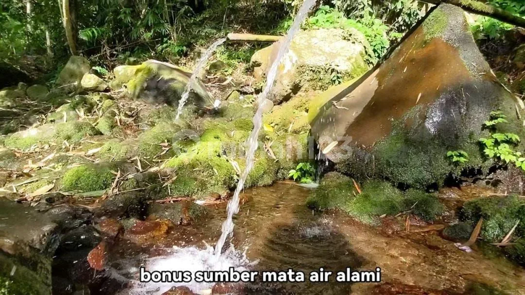 Tanah View Terasering Sawah Bonus Sumber Mata Air di Tabanan - Image 1 of 4