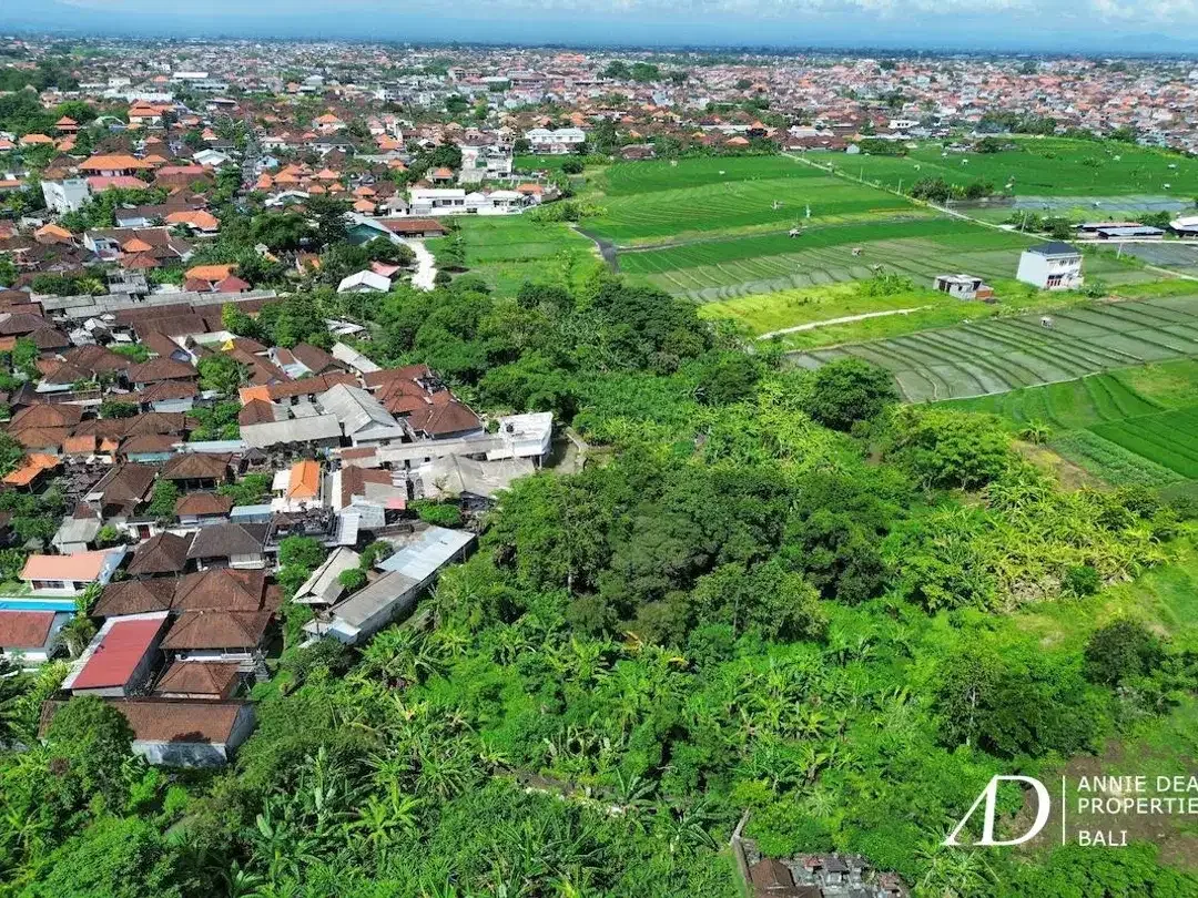 FREEHOLD & LEASEHOLD LAND OPPORTUNITY IN PADONAN - CANGGU - Image 2 of 10