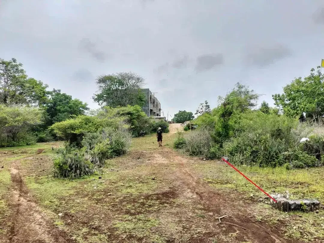 DIJUAL TANAH PLOT KECIL MURAH DI GAYANG SARI KUTUH - Image 6 of 6