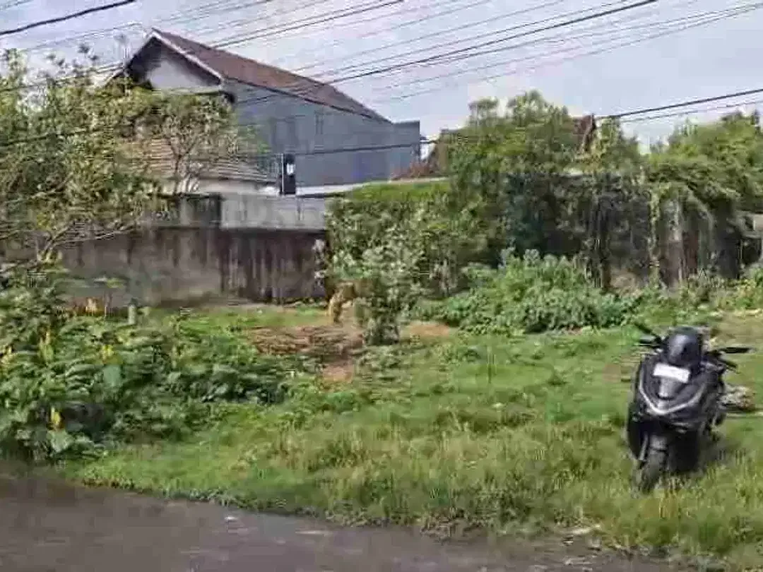 jual tanah 2,45 are di jln Bidadari seminyak Kuta Bali - Image 5 of 5
