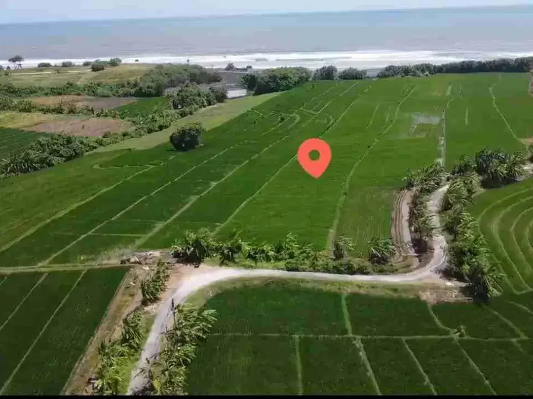 Tanah Komersial Los Pantai Pasut Tabanan Zona Wisata - Image 6 of 10