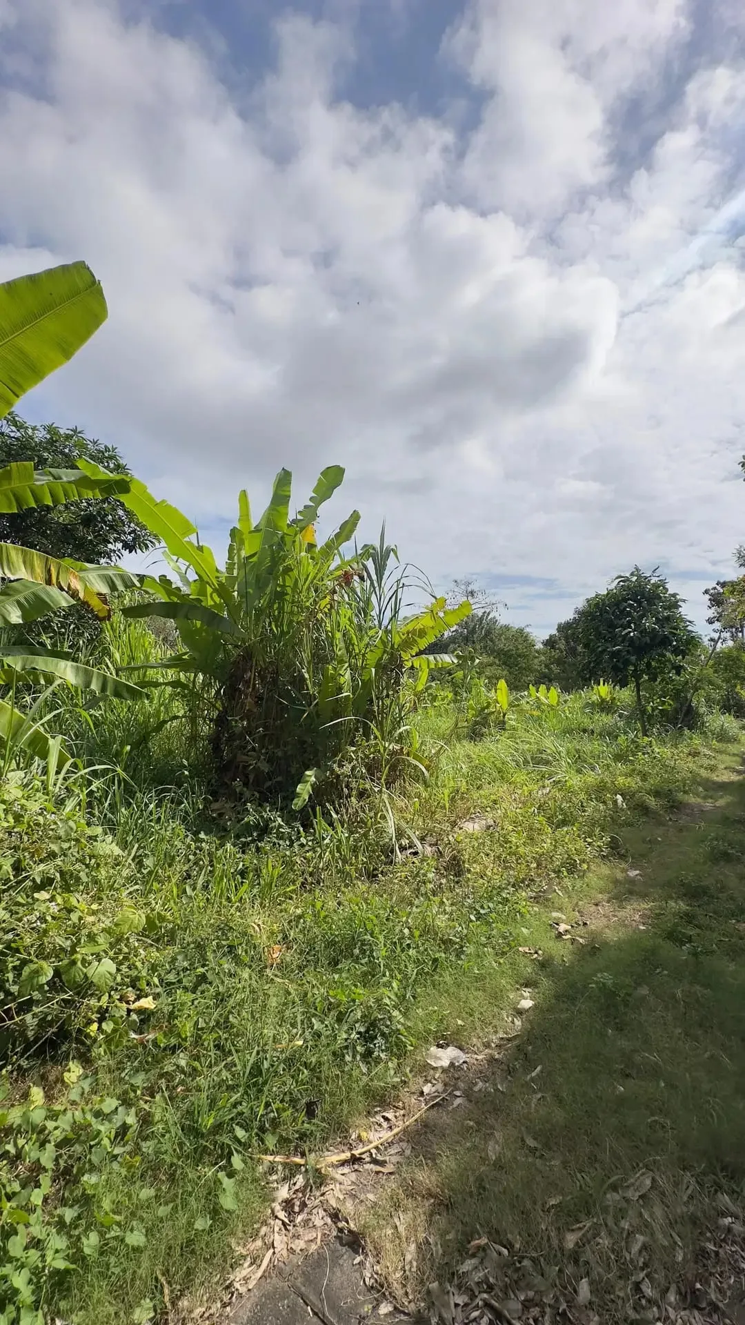 Dijual Tanah Plot Kecill 200m2 di Kawasan Bingin Uluwatu Bali - Image 5 of 10