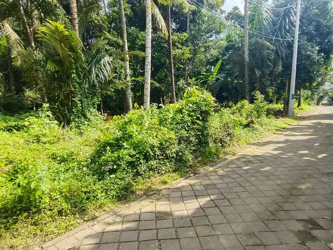 Tanah View Alam Ubud Bisa Ambil 600m2 - Image 3 of 10