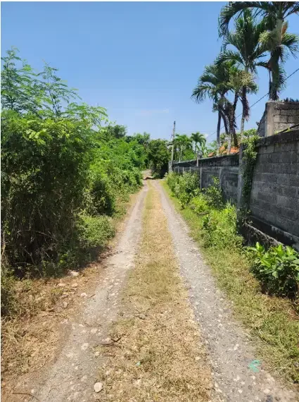 Tanah murah dekat pantai siyut Gianyar - Image 3 of 10