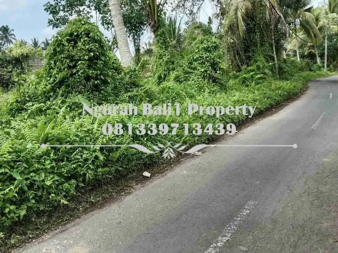 Murah Dijual Tanah Luas 10 Are Kawasan Villa di Ubud Pejeng - Image 1 of 5