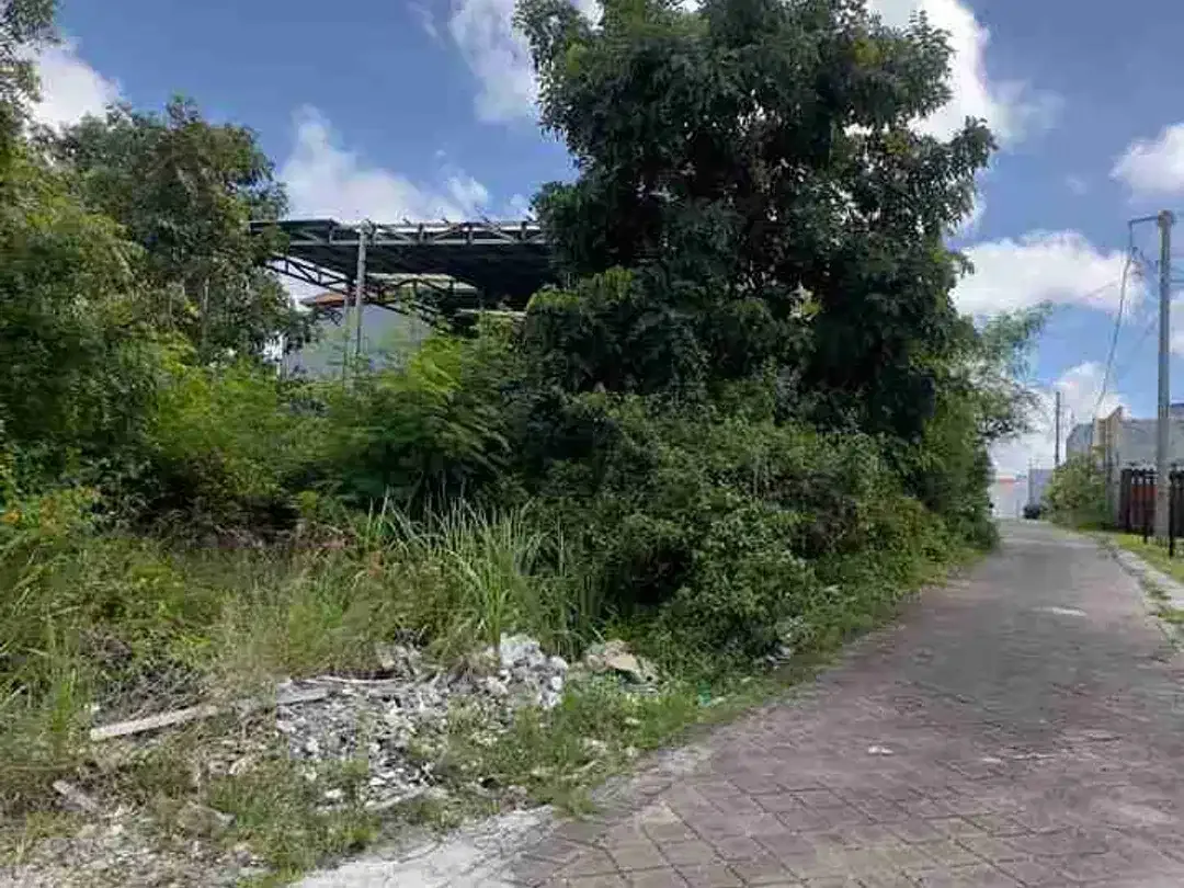 JUAL CEPAT TANAH Luas 255m Jl Utama Gubug Sari Kutuh Zona Kuning area Strategis Investasi.ta1 - Image 3 of 10