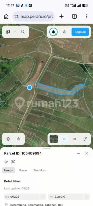 Jual Tanah Sawah Murah di Tabanan View Gunung dan Laut - Image 4 of 4