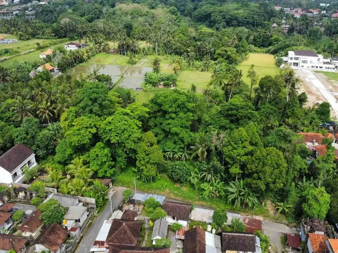 Tanah Murah di Sentral Ubud Dekat Restoran dan Fasilitas Umum - Image 8 of 10