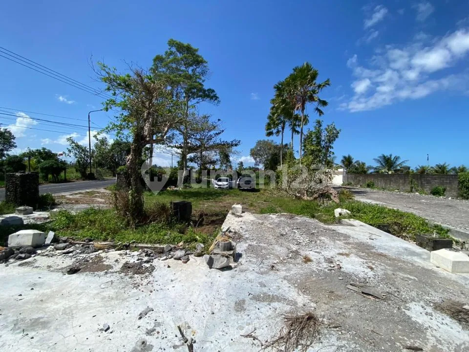 Jual Tanah Strategis,Pinggir Jalan Utama Angantaka - Image 3 of 4