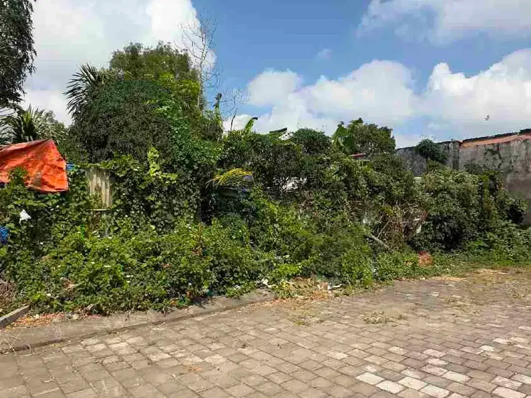 Dijual Tanah Strategis 393m2 Jimbaran Dekat Unud - Image 6 of 8