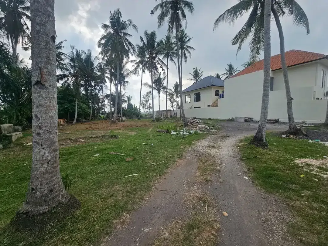 Dijual tanah ada pohon kelapa lokaso ciputra pangkung tibah tabanan Lingkungan villa - Image 3 of 5
