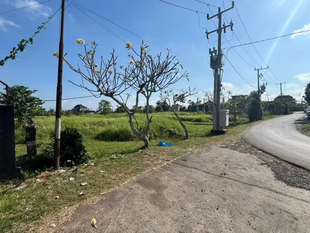 Disewakan tanah di tabanan yeh gangga - Image 2 of 8