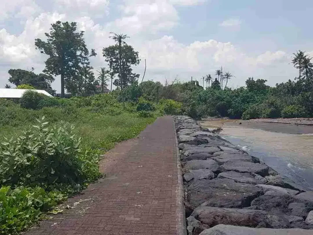 dijual tanah 1975 m² IDR 650 juta per are los pantai pabean Gianyar  Bali - Image 3 of 6