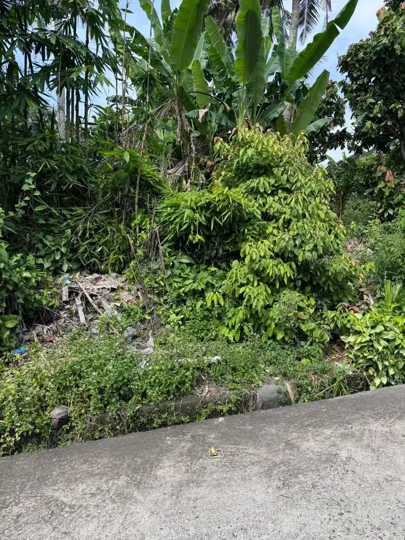 35mnit to Canggu BUC 300m2 - Image 3 of 5
