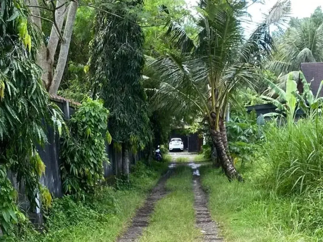 TANAH BAGUS DAN STRATEGIS 20 ARE DI UBUD GIANYAR - Image 4 of 6